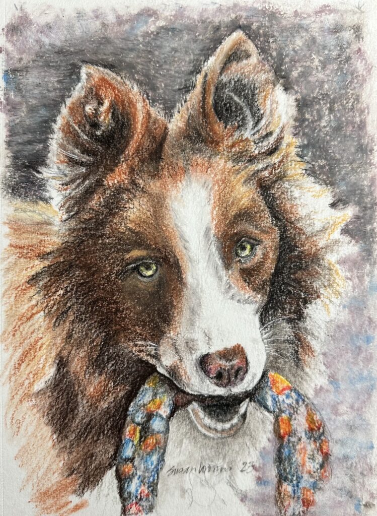 This pastel was made to honor my friend's deep commitment to her dog family.
