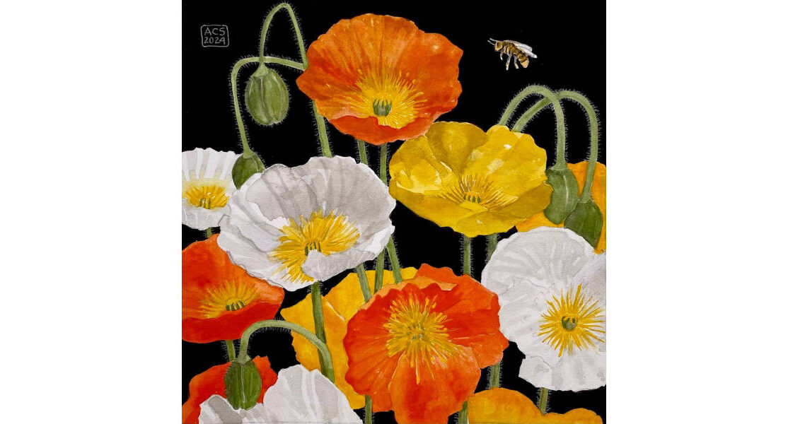 Sines-Cort-Catalog-s